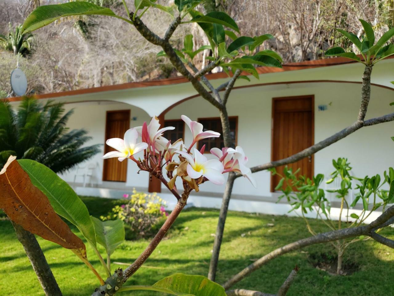 Hotel Y Club Campestre Altos Paraiso Puerto Escondido  Exterior photo