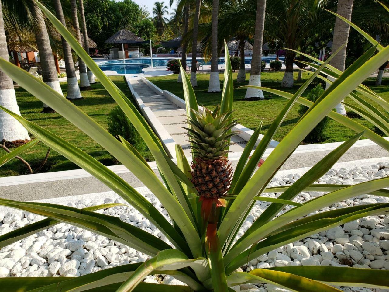 Hotel Y Club Campestre Altos Paraiso Puerto Escondido  Exterior photo